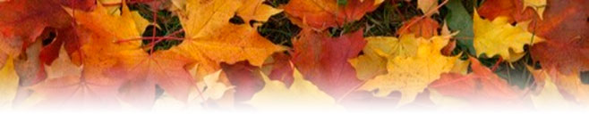 Otoño