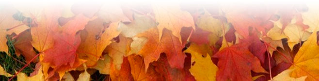 Otoño