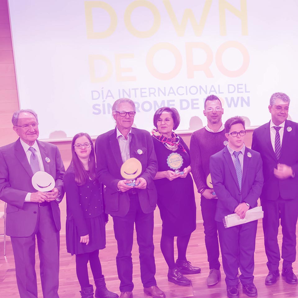 Colaboraciones y convenios