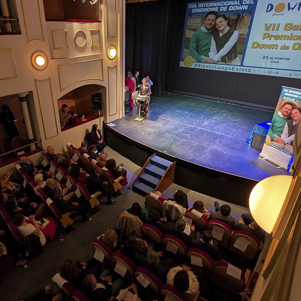 Asistencia Premios Down de Oro