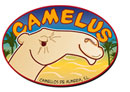 Logo Camelus