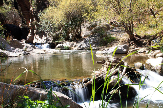 Día del Síndrome de Down en Padules