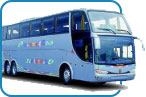 Viaje Bus